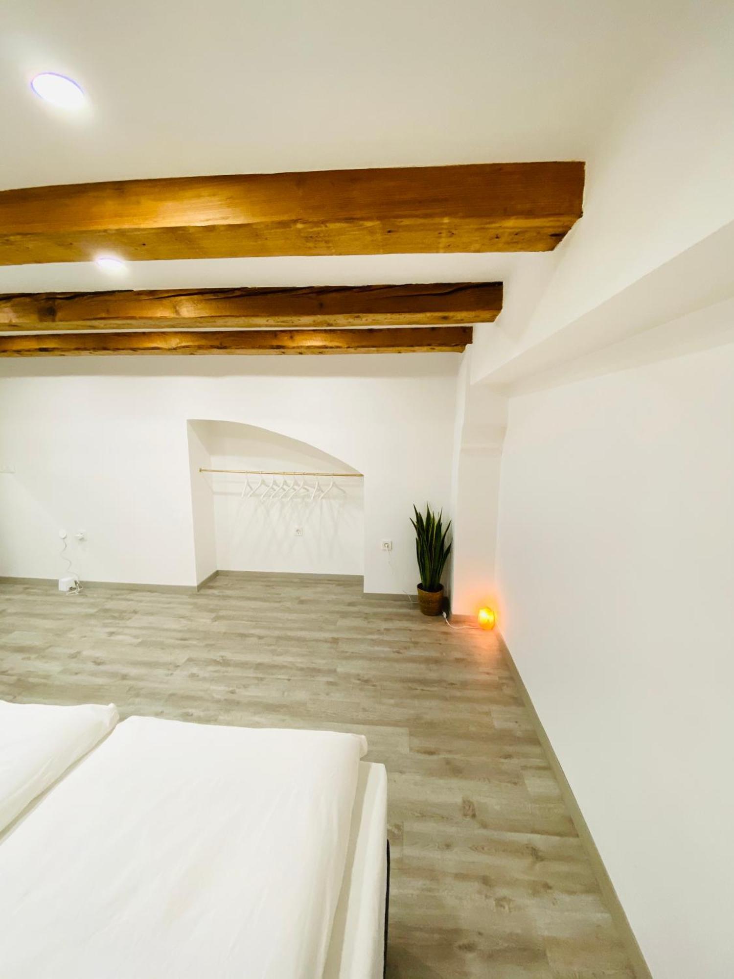 Jungle Loft - Central/Free Parking Ljubljana Eksteriør bilde