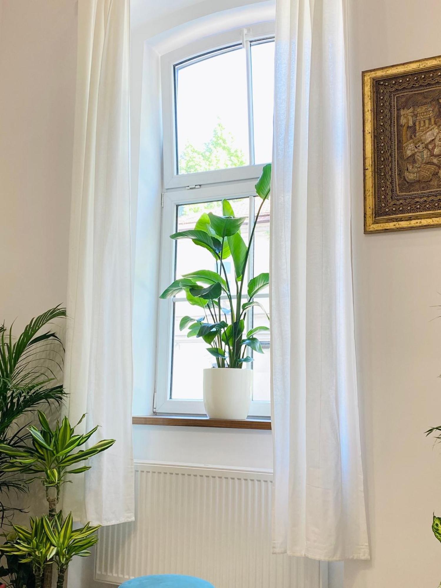 Jungle Loft - Central/Free Parking Ljubljana Eksteriør bilde