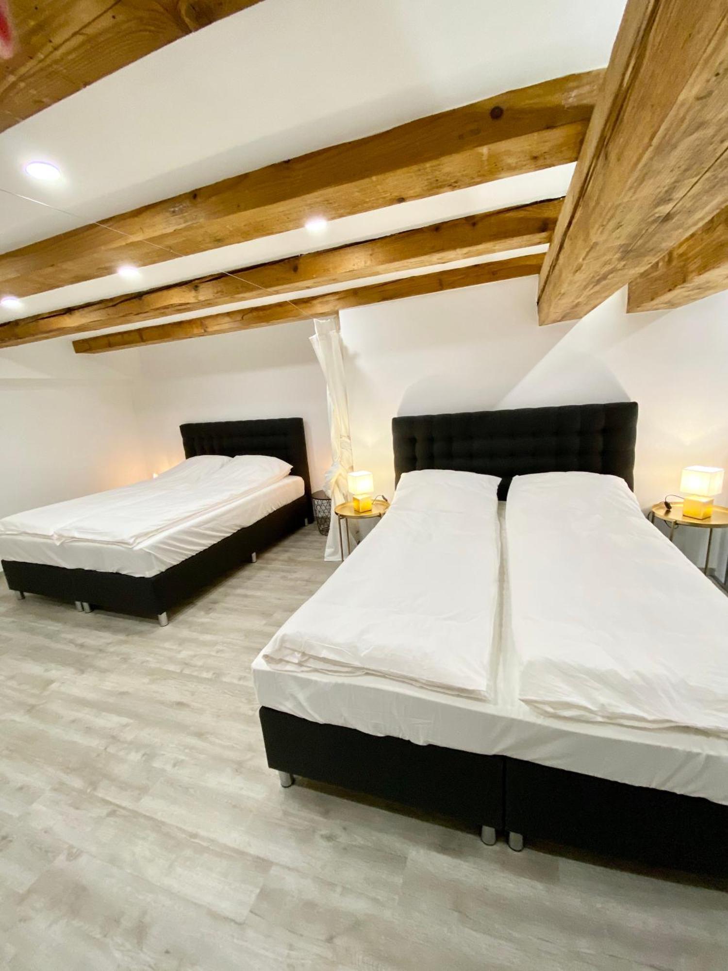 Jungle Loft - Central/Free Parking Ljubljana Eksteriør bilde